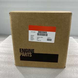 Cummins 3803965 Engine Piston Kit