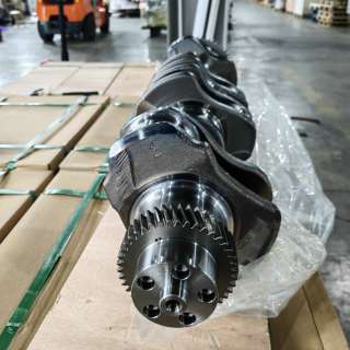 Cummins 3965010 Engine Crankshaft