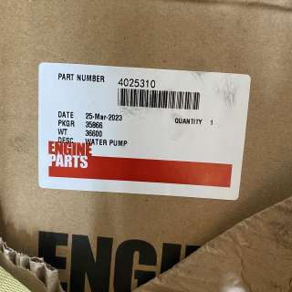 Cummins 4025310 Water Pump Kit