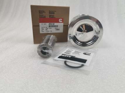 Cummins 4955160 Engine Piston Kit