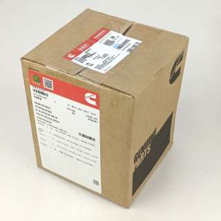 Cummins 4955237 Piston Kit