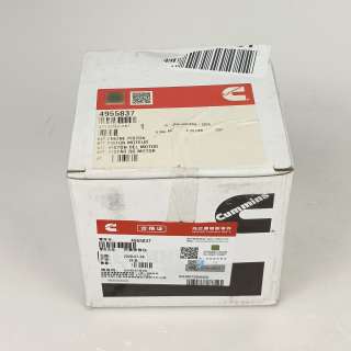 Cummins 4955837 Engine Piston Kit